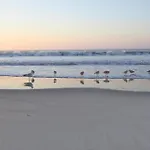 Salt Sea