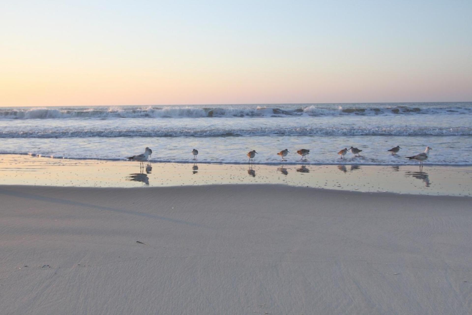 Little Folly Beach