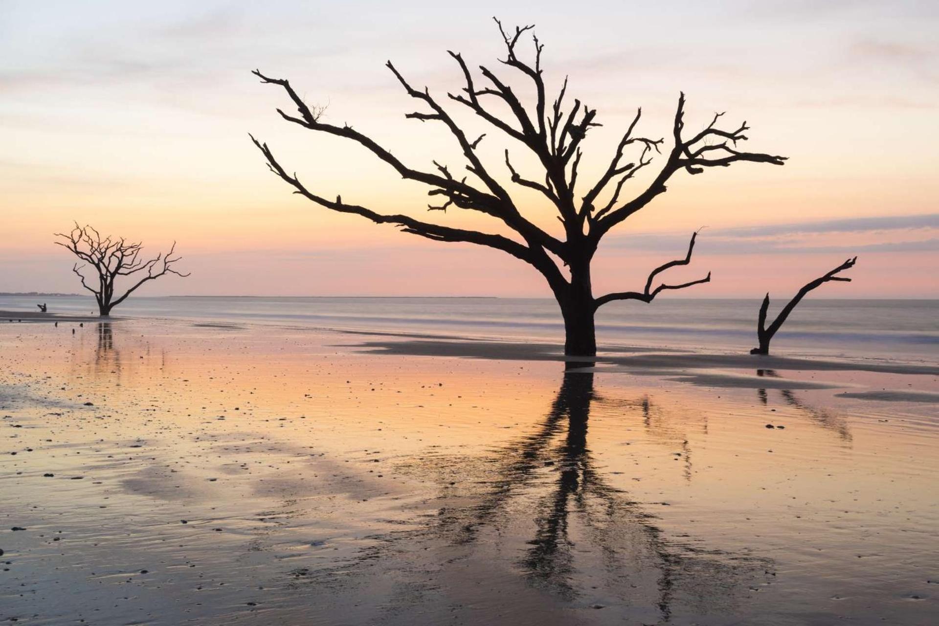 Coastal Escape Folly Beach