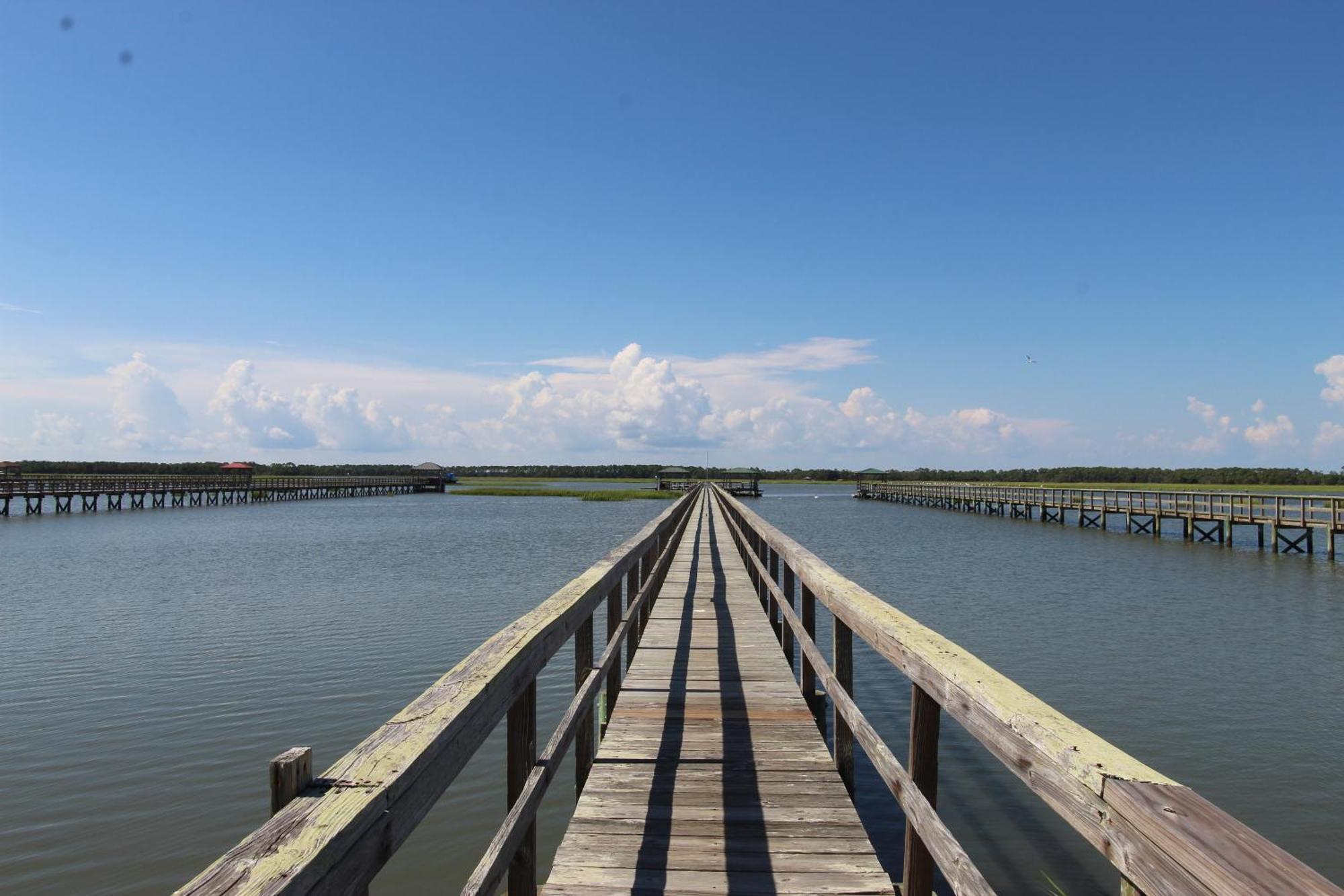 Reel Blessed Folly Beach